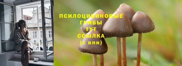 spice Белоозёрский
