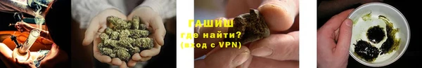 бошки Белокуриха
