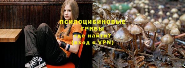 spice Белоозёрский